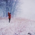 Natus saepe commodi vel molestiae quidem impedit